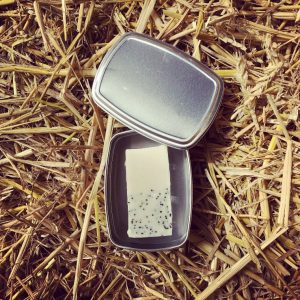 Eco Travel Tin