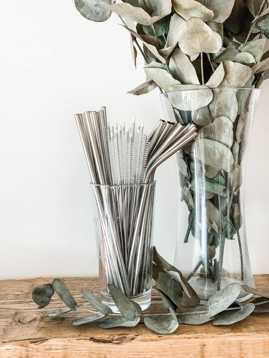 Stainless Steel Eco Straws