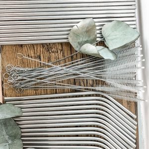 Stainless Steel Eco Straws